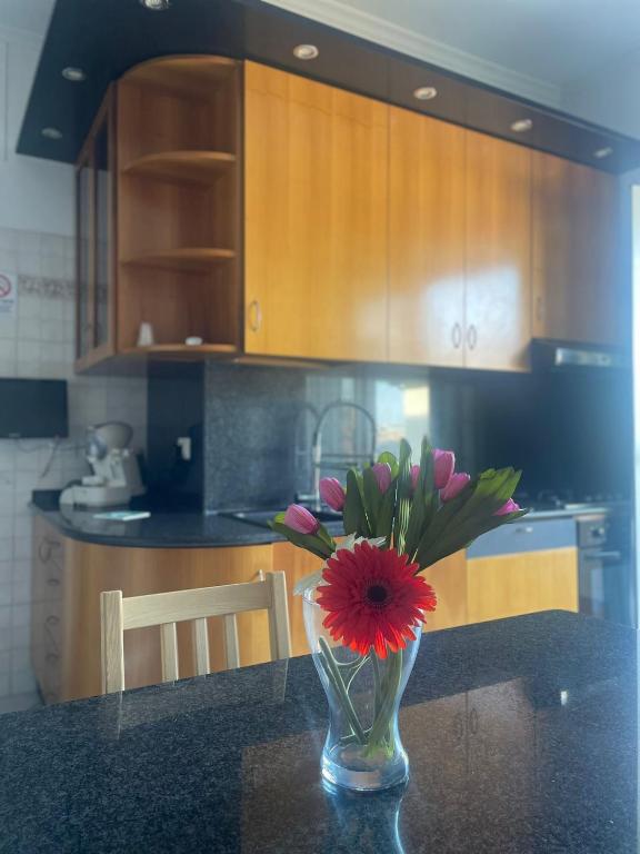 a vase with a red flower on a table in a kitchen at ALMIA casa vacanze in Fiumicino