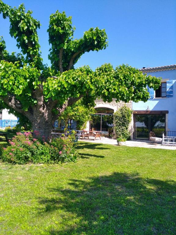 a tree in the yard of a house at Les Coquettes in Richerenches