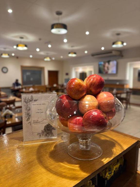 Hotel Sol del Añelo