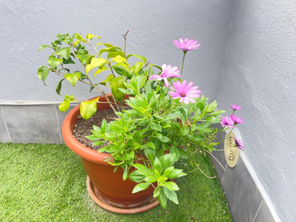 Atico Cué, Parking gratuito - 19