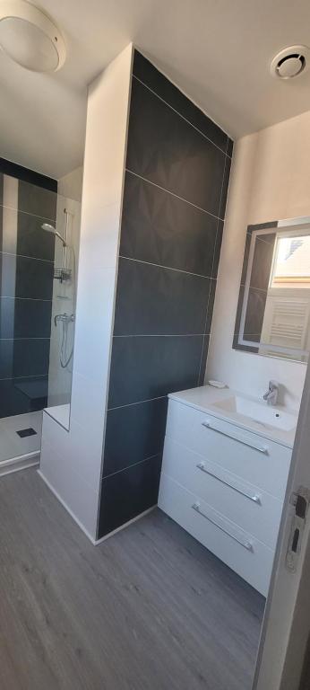 ein weißes Badezimmer mit Dusche und Waschbecken in der Unterkunft Havre de paix in Évian-les-Bains