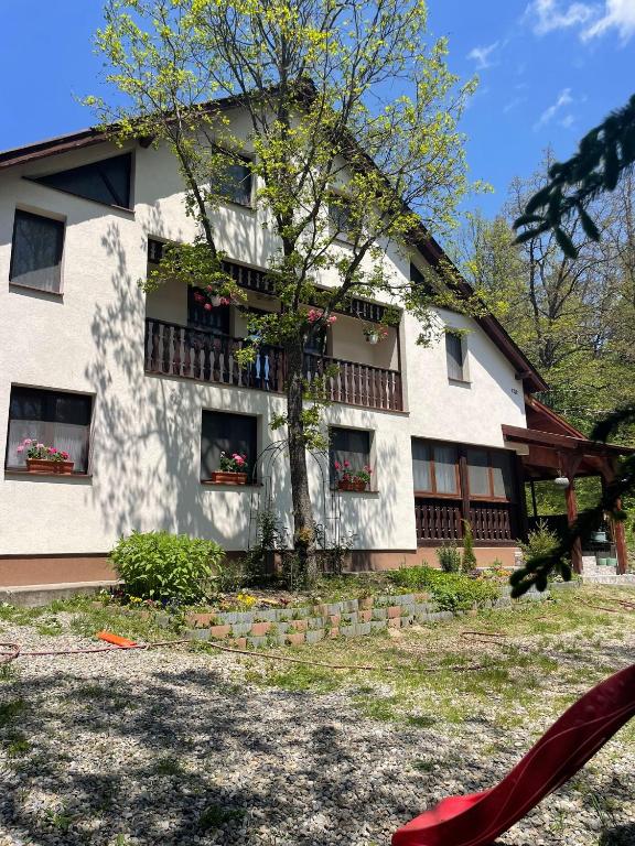a white building with a tree in front of it at Casa Sofia in Băile Homorod