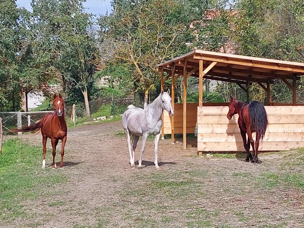 B&B di Paola e Luca