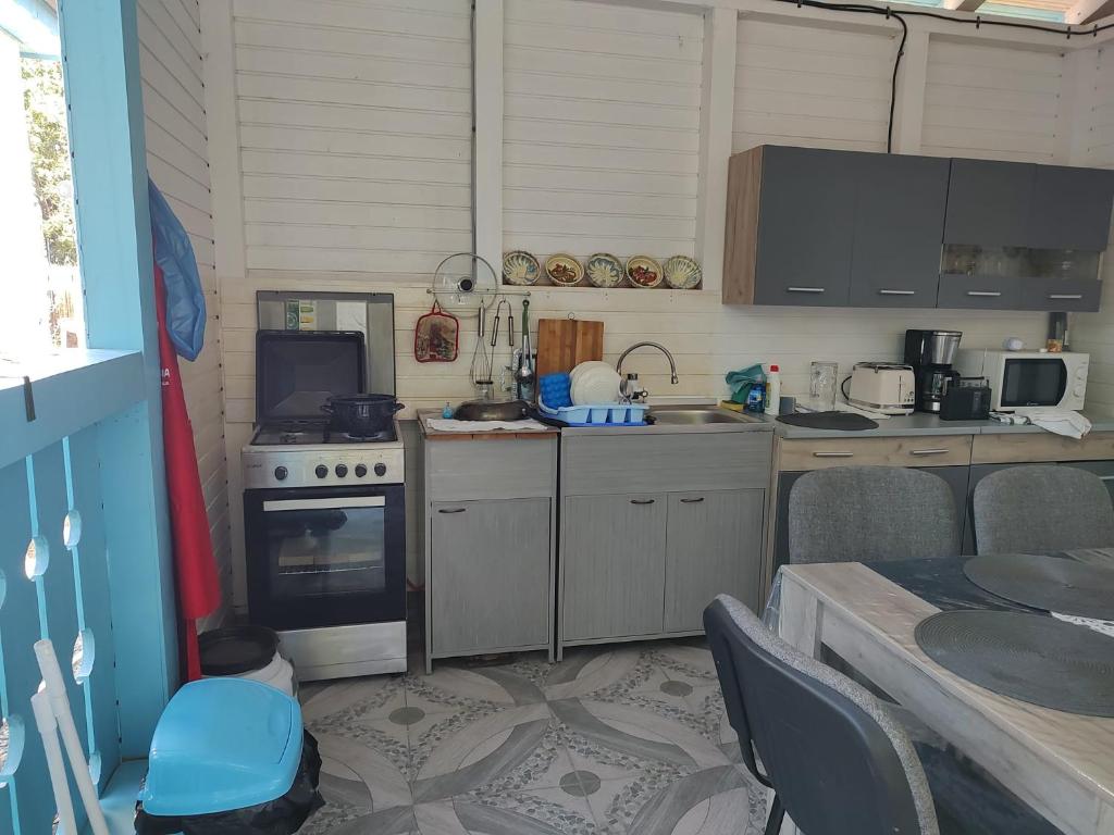 Kuchyň nebo kuchyňský kout v ubytování Casa Dobrogea