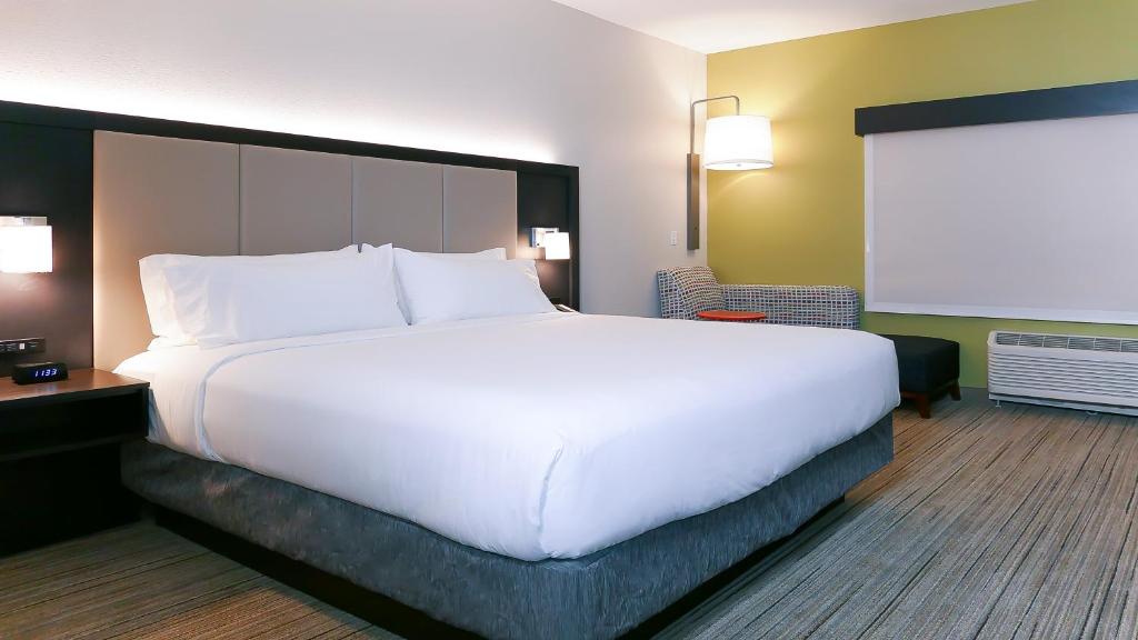 Holiday Inn Express & Suites - Tampa East - Ybor City by IHG photo