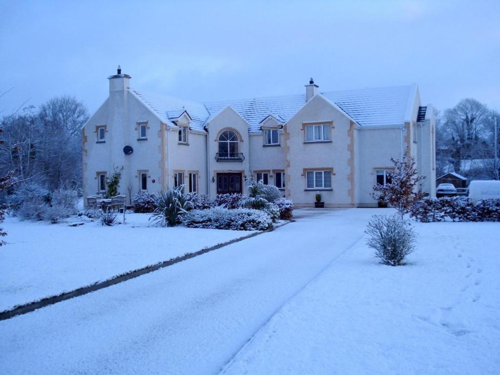 Dungimmon House talvel