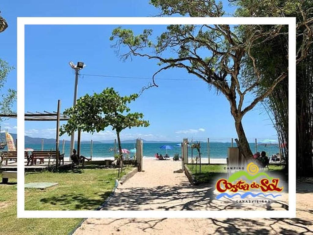 un árbol en una playa con el océano en el fondo en Hospedagem em Canasvieiras - Pé na Areia com Vista para o Mar, en Florianópolis