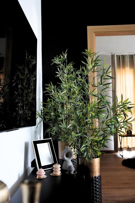Vonkajšia záhrada v ubytovaní Apartamenty STUDIO