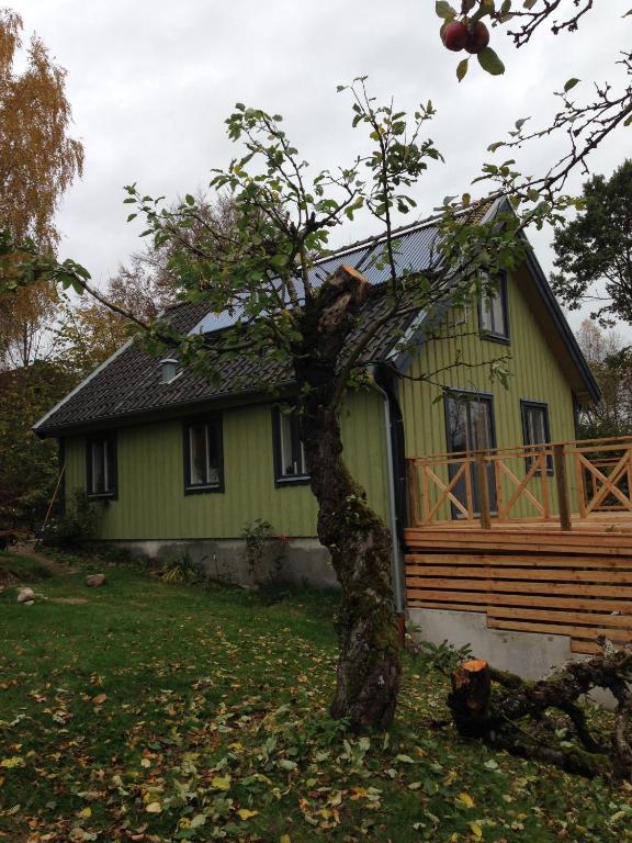 a green house with a tree in front of it at Skräddarhuset - Lilla huset in Bonnarp