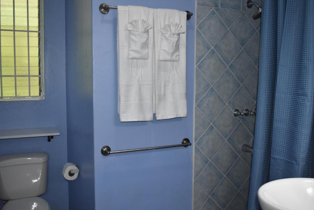 Koupelna v ubytování Villa Blue Vue