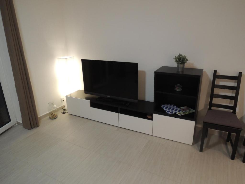 TV a/nebo společenská místnost v ubytování Apartmány Hlohovec