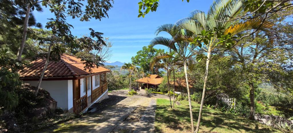 a house with a road leading to it with palm trees at Casa Santa Rosilla in Lamas