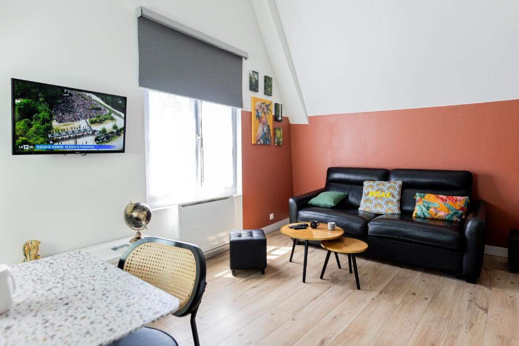 un salon avec un canapé et une table dans l'établissement Mirabeau Sous Les Toits - Tours, à Tours