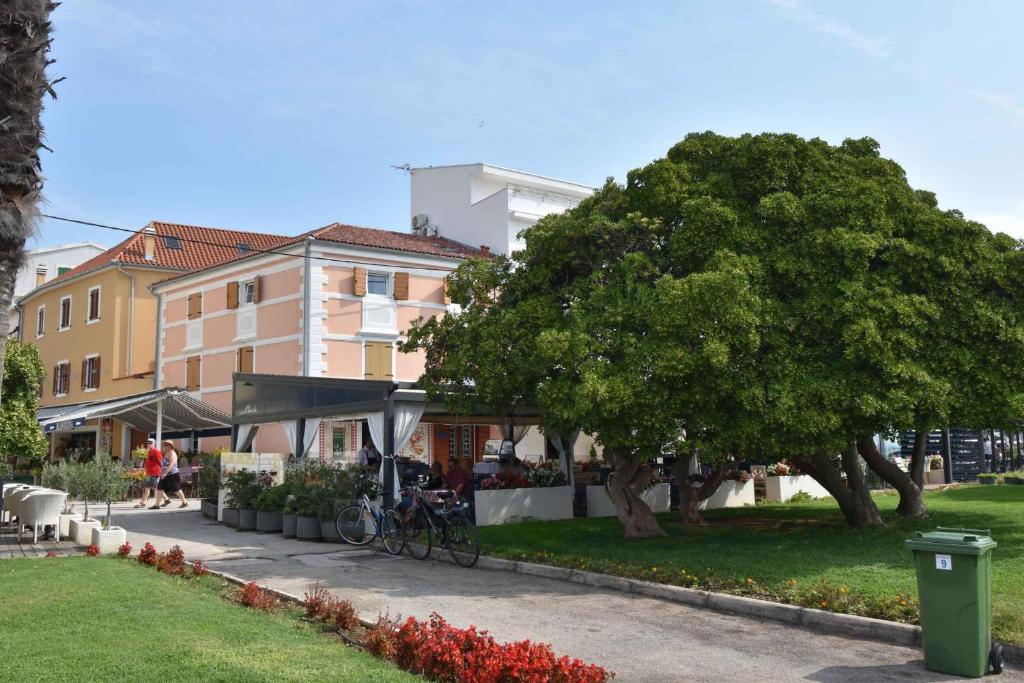 En have udenfor Biograd na Moru Apartment 1