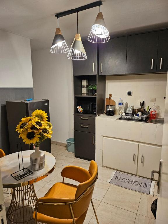 Kuchyň nebo kuchyňský kout v ubytování Steeph Home