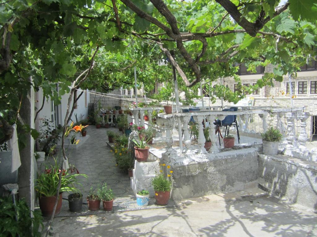 Guest House Adi Doga - Image 7