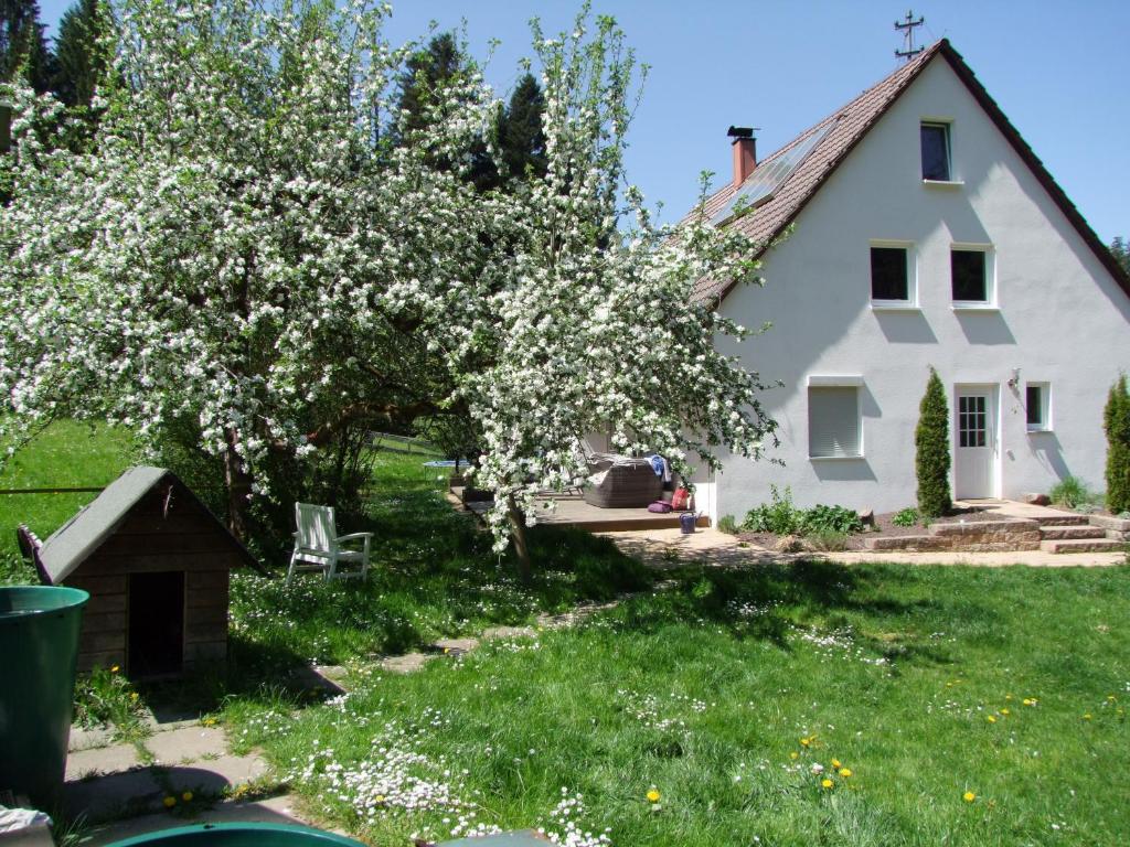 uma magnólia em frente a uma casa branca em Wonderworld em Alfdorf