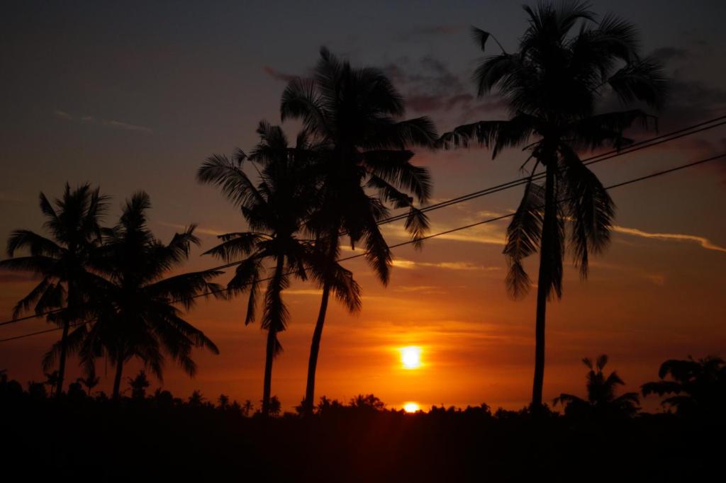 Foto da galeria de Lafyu Bali em Singaraja