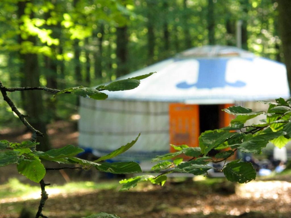 une tente blanche et orange dans les bois avec des arbres dans l'établissement STF Nyrups Naturhotell, à Höör