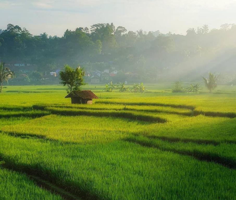 Paesaggio naturale nelle vicinanze della stanza in casa privata
