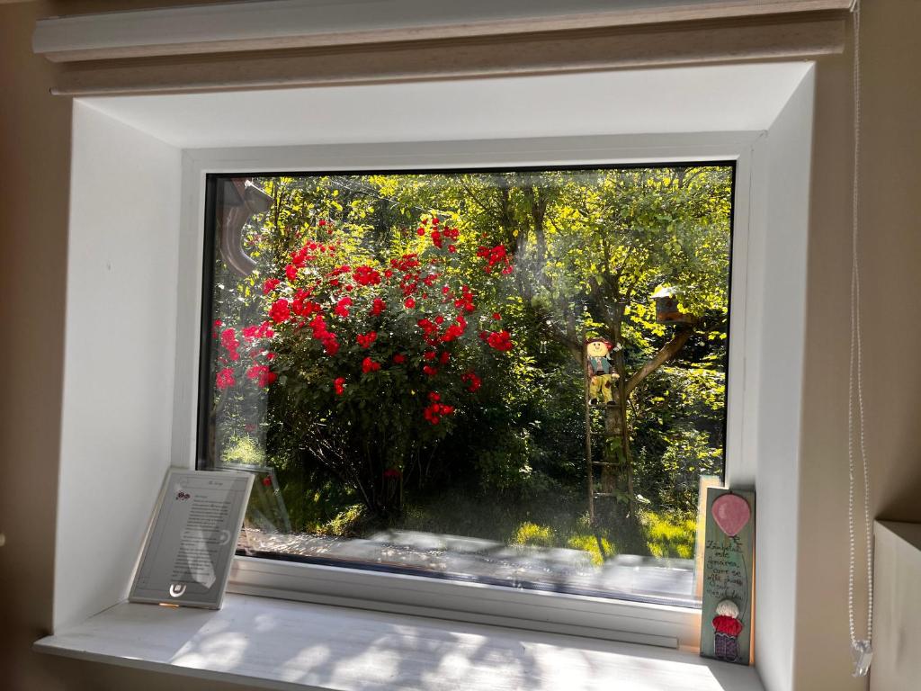 a window with a bunch of red flowers in it at The LODGE, separate apartment in a vila, with floor heating, groundfloor in Sinaia