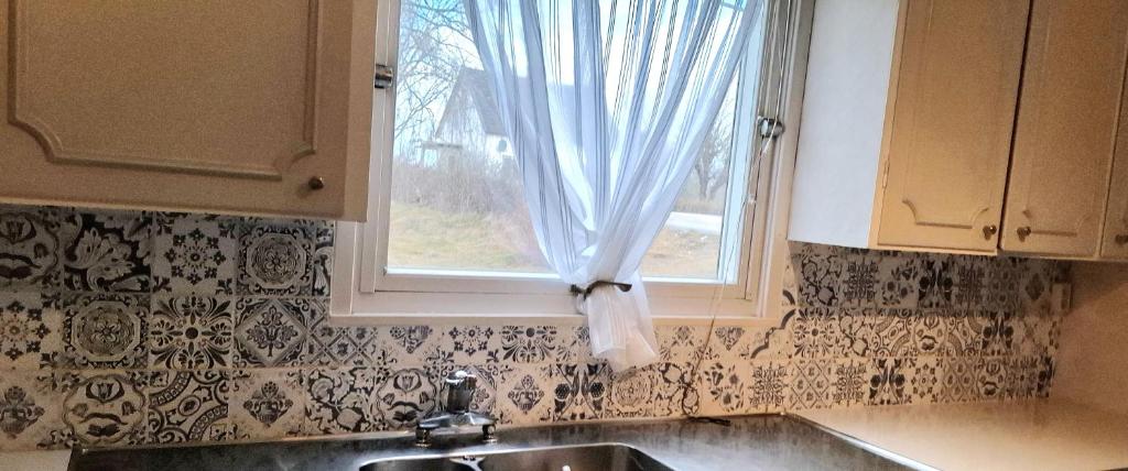 Kuchyň nebo kuchyňský kout v ubytování Hus Sjögläntan