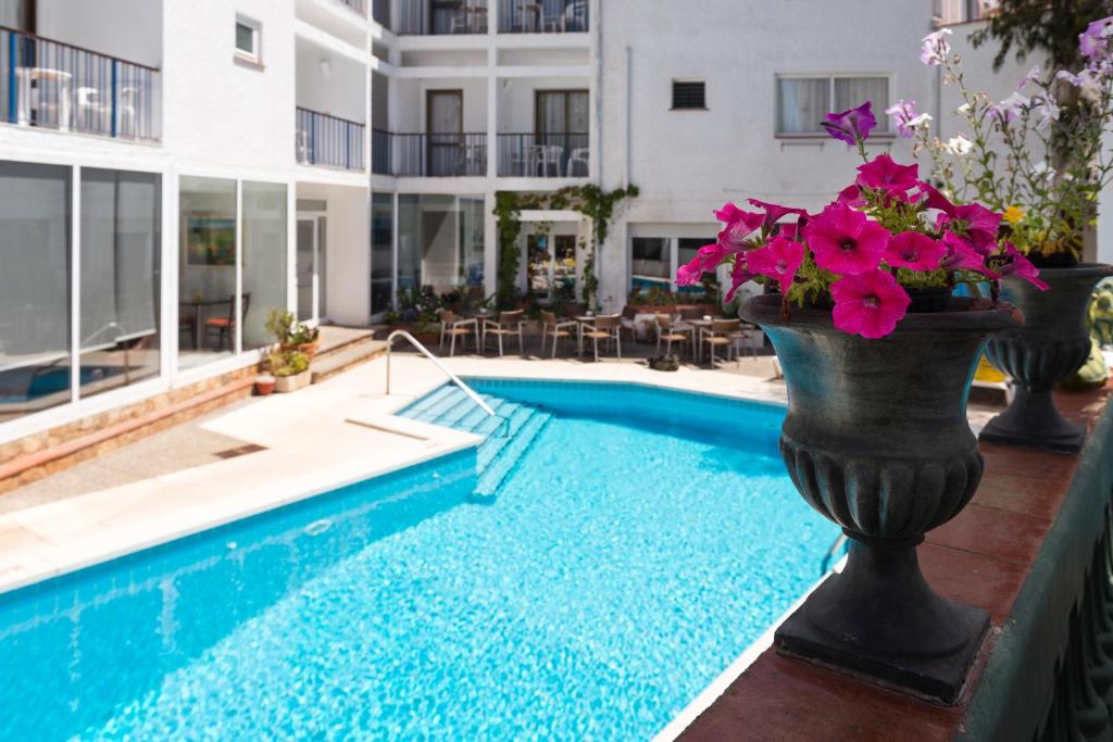 uma piscina com um vaso de flores ao lado de um edifício em Hotel Sant March em Tossa de Mar