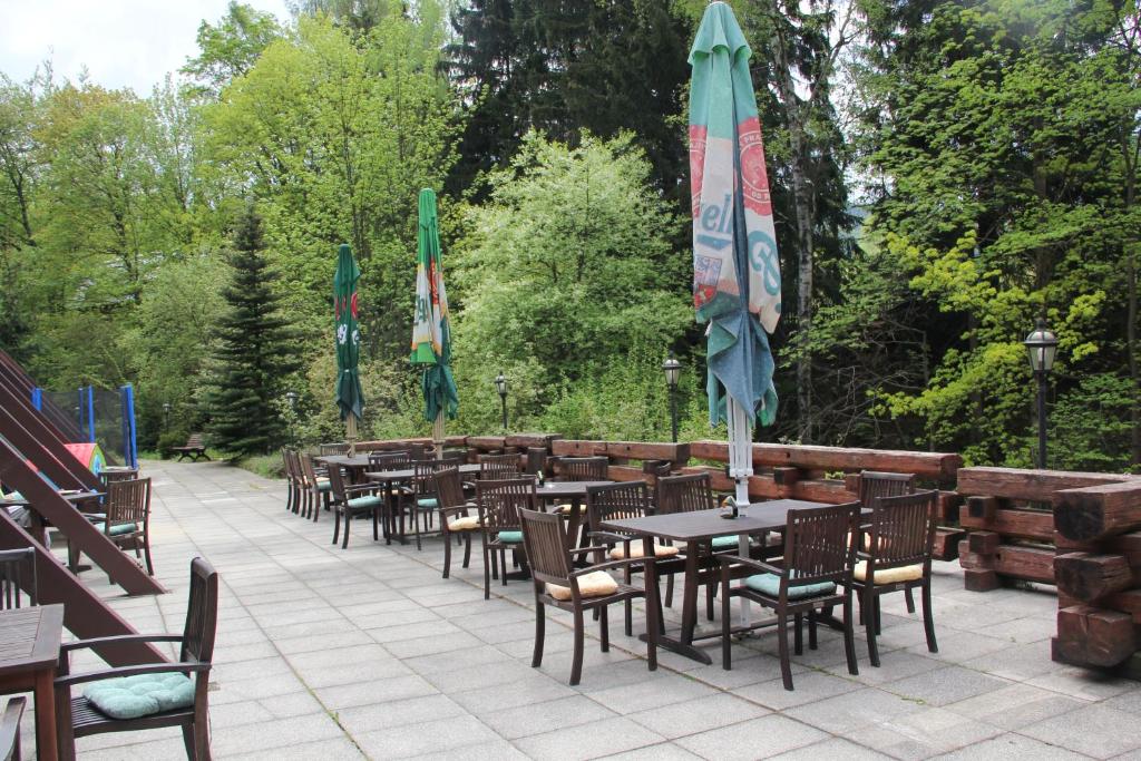 Zahrada ubytování Wellness hotel Harrachovka