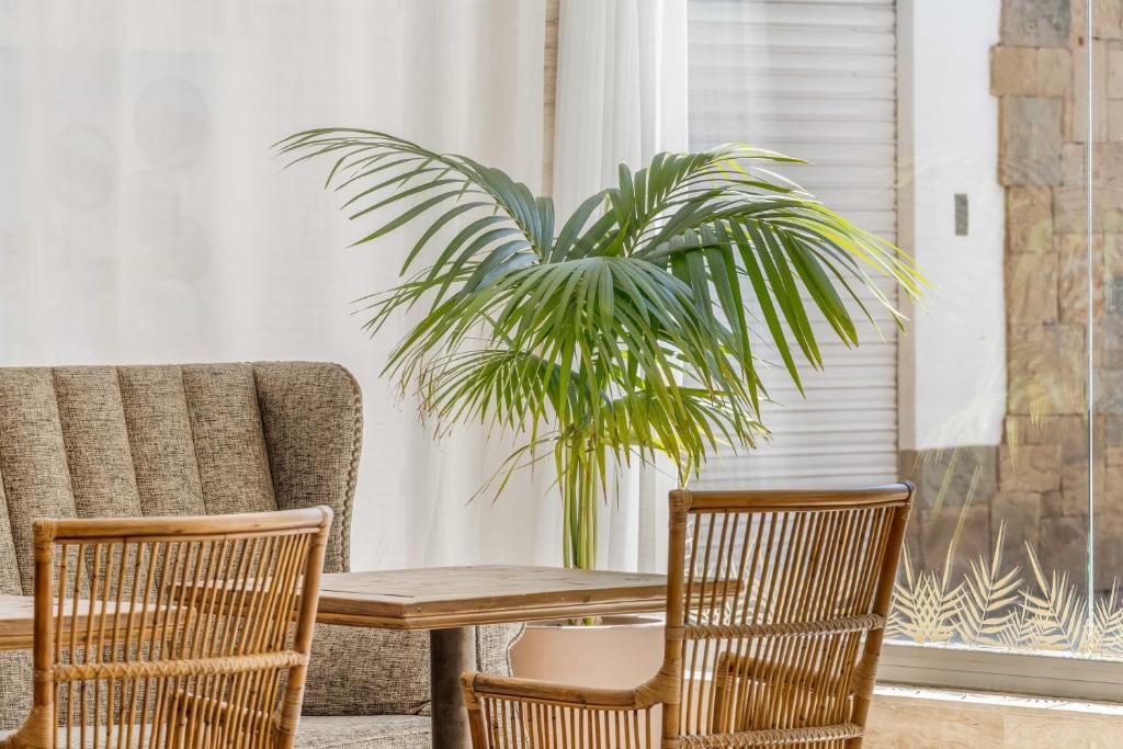 Posezení v ubytování Hotel Metropol