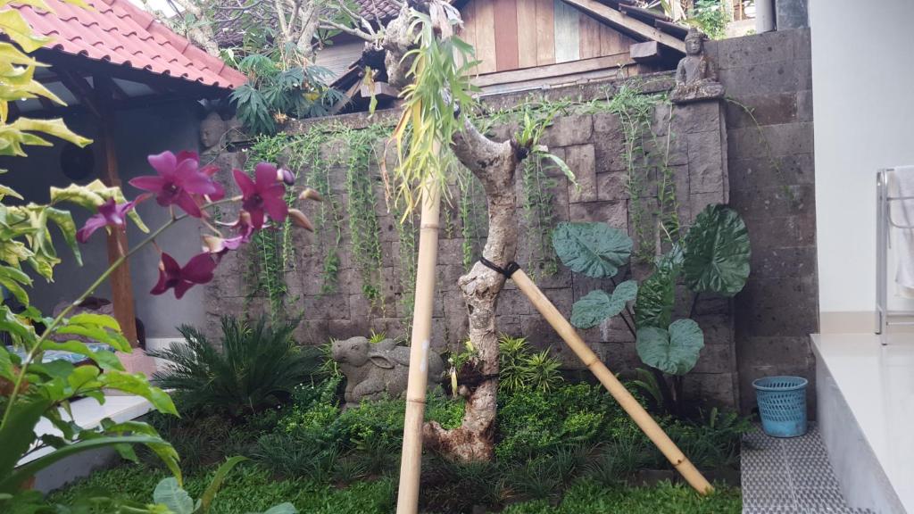 Zahrada ubytování DIMUWA Ubud