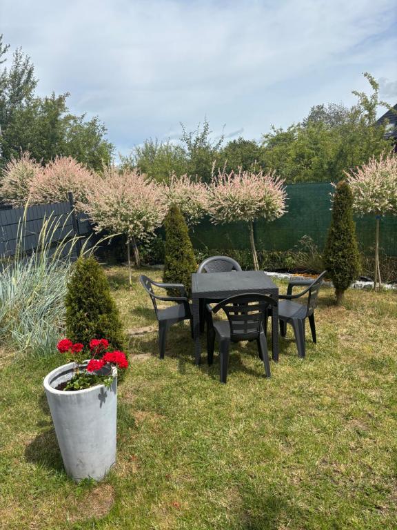 Zahrada ubytování Domki LA MER z własnymi ogródkami- Balia z jacuzzi ,sauna ,rowery, klimatyzacja