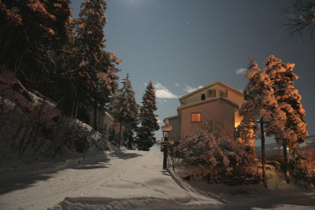 Příroda nedaleko bed and breakfast