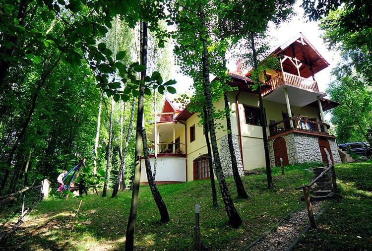 uma casa no meio de uma floresta de árvores em Ośrodek Kwaskowa em Kazimierz Dolny