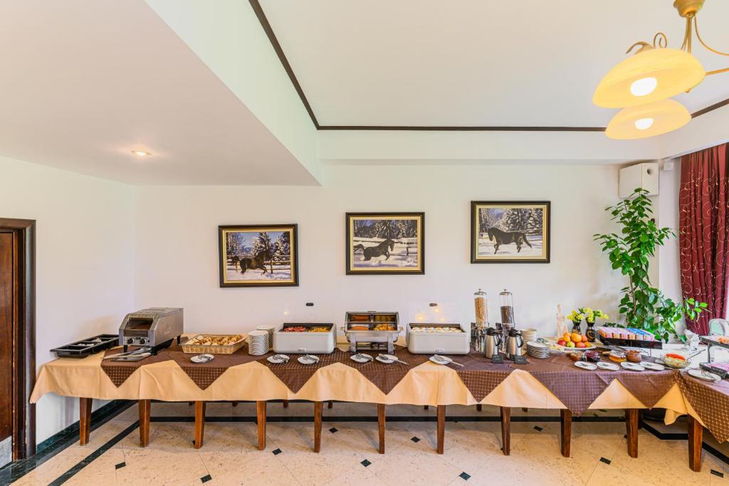 Hotel Casa Viorel jacuzzi & saunas - Resim 11