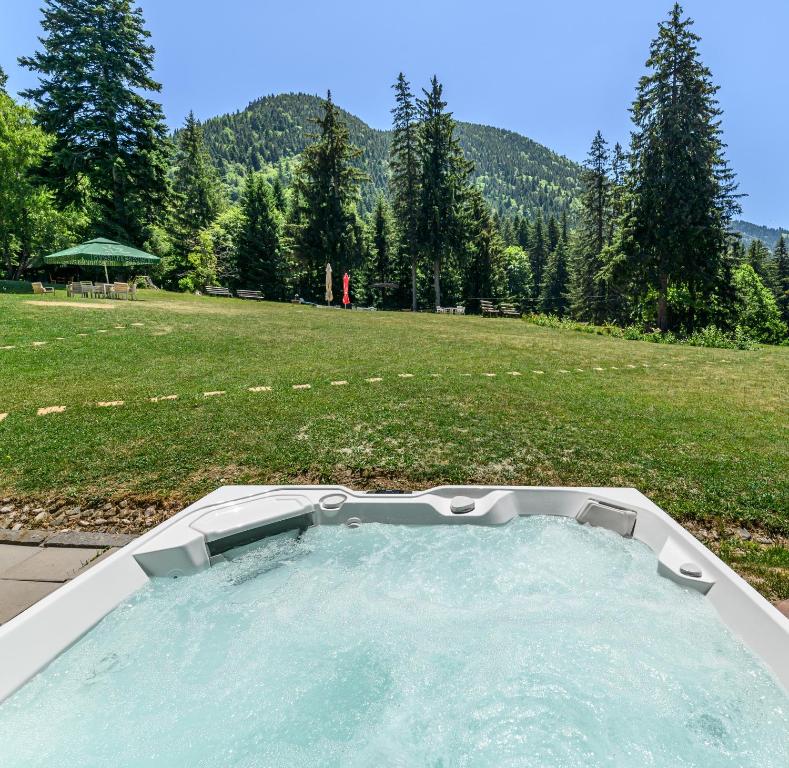 Hotel Casa Viorel jacuzzi & saunas - Resim 4