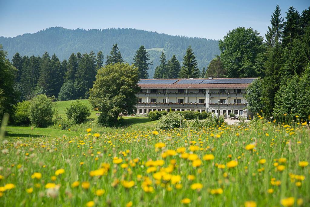 Příroda nedaleko bed and breakfast