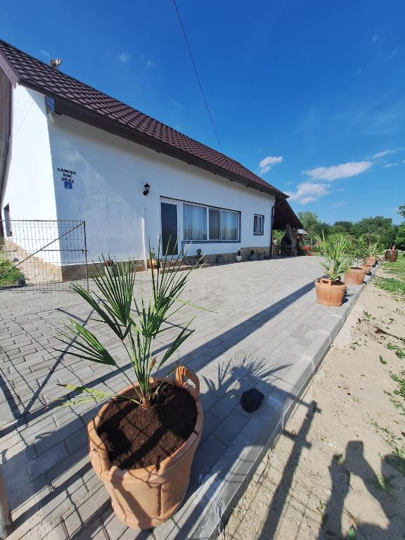 a house with potted plants on a patio at Casuta din Deal in Vaideeni
