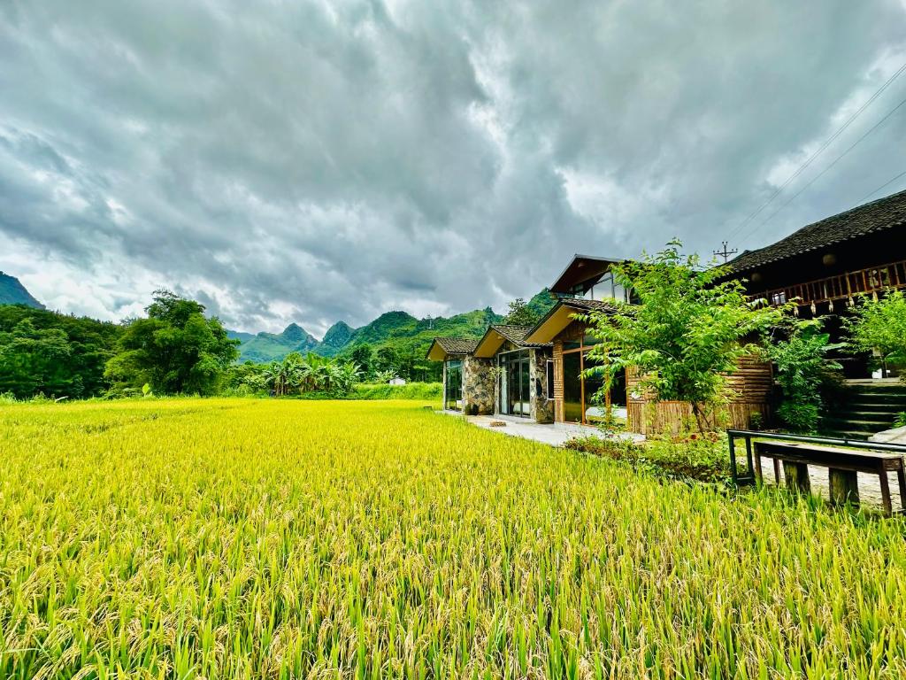 a field of green grass next to a house at Du Gia Field View Homestay in Làng Cac