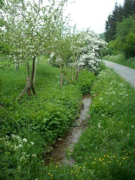 Příroda nedaleko penzionu – hostince