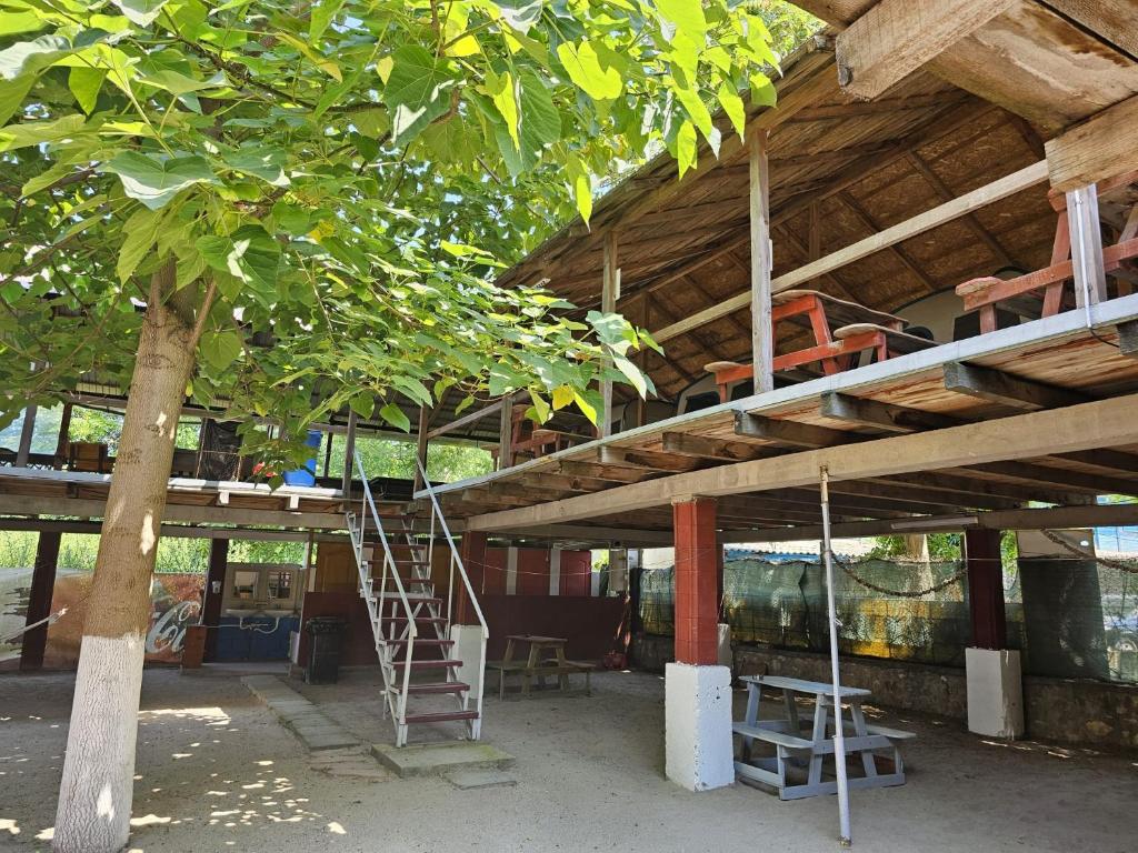 a building under construction with a ladder and a tree at casa la meduza in Vama Veche