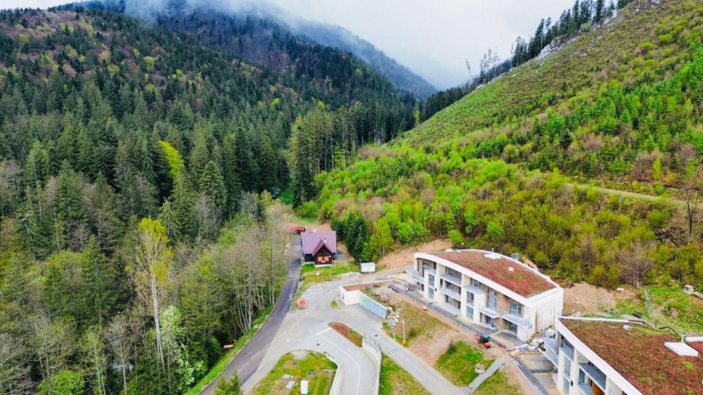 Příroda nedaleko apartmánu