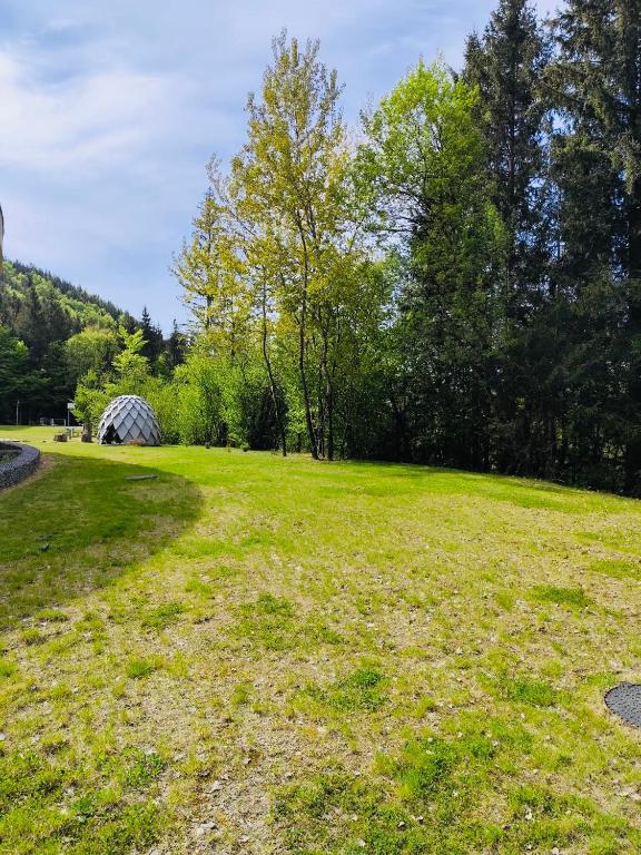 Příroda nedaleko apartmánu