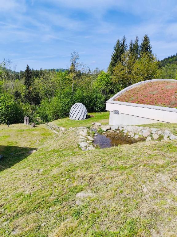 Příroda nedaleko apartmánu