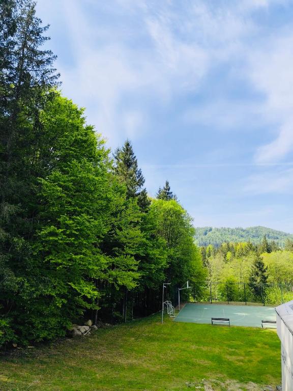 Příroda nedaleko apartmánu