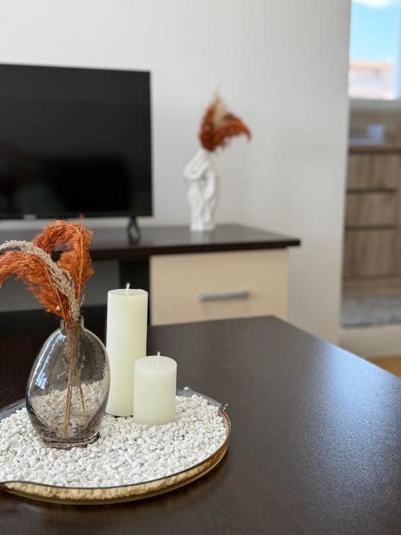 un tavolo con due candele e un vaso con una pianta di Astor Apartment a Gevgelija