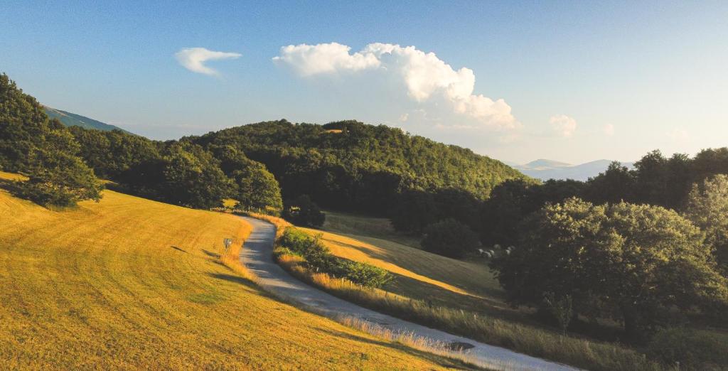 a grassy hill with a dirt road and trees at Chalet Monte Alago - Baita in Umbria 