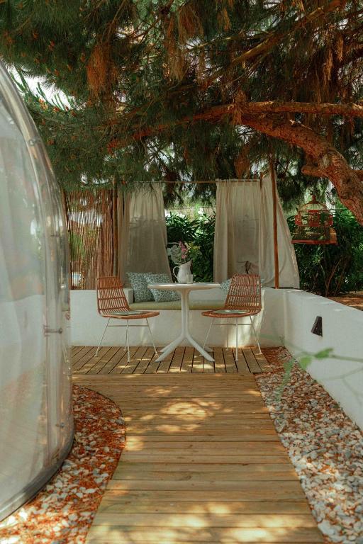 Rêves Étoilés - 6