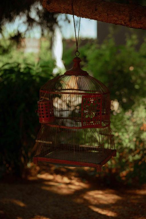 Rêves Étoilés - 8