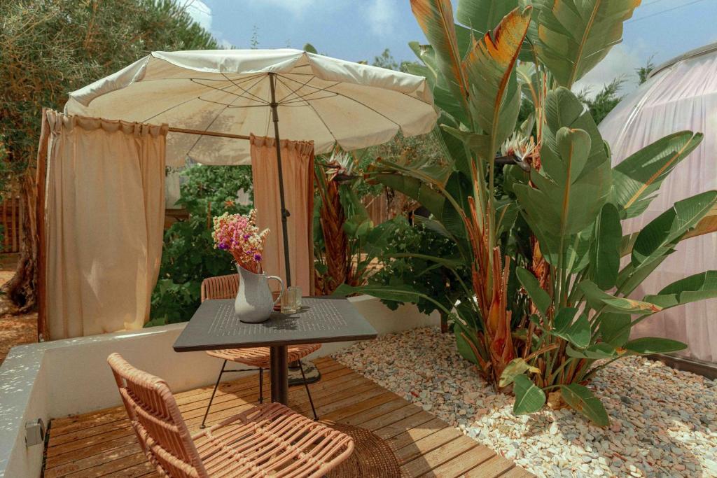 Rêves Étoilés - 13