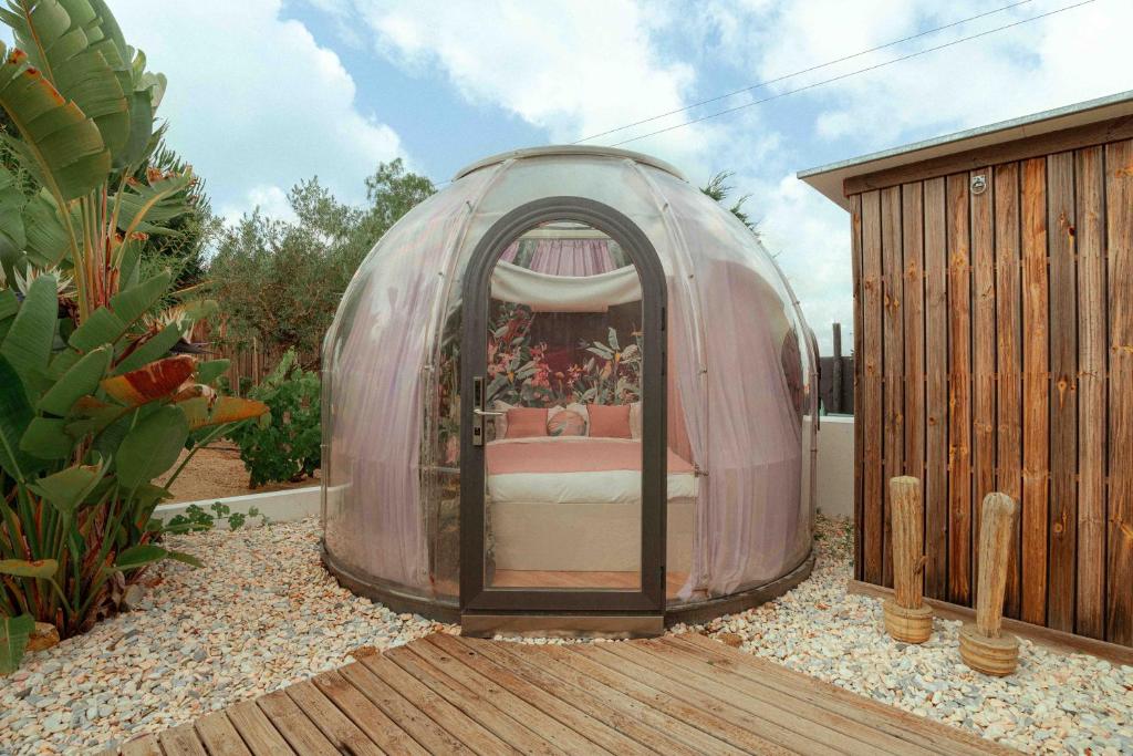 Rêves Étoilés - 10